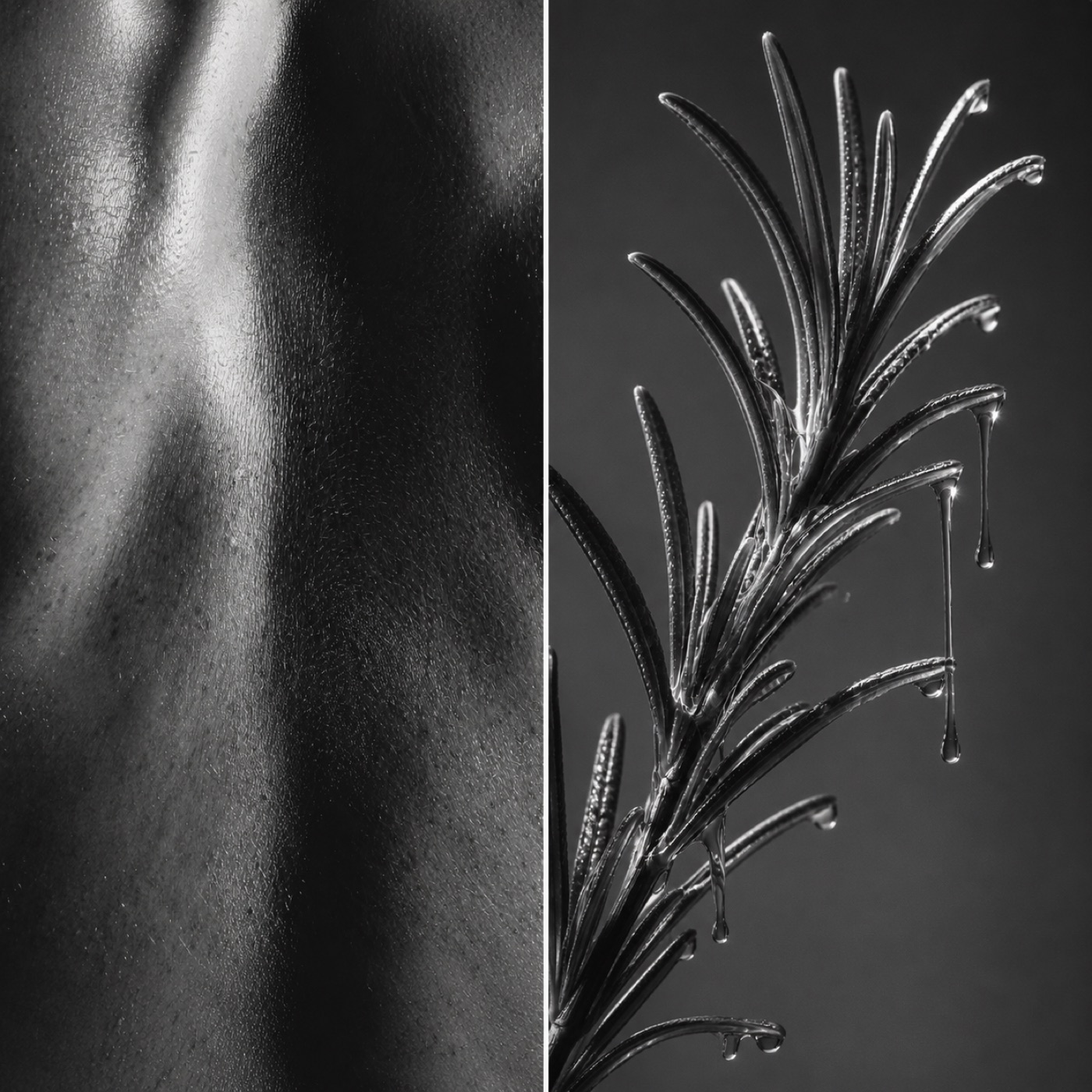 AYGENCE campaign — skin and rosemary